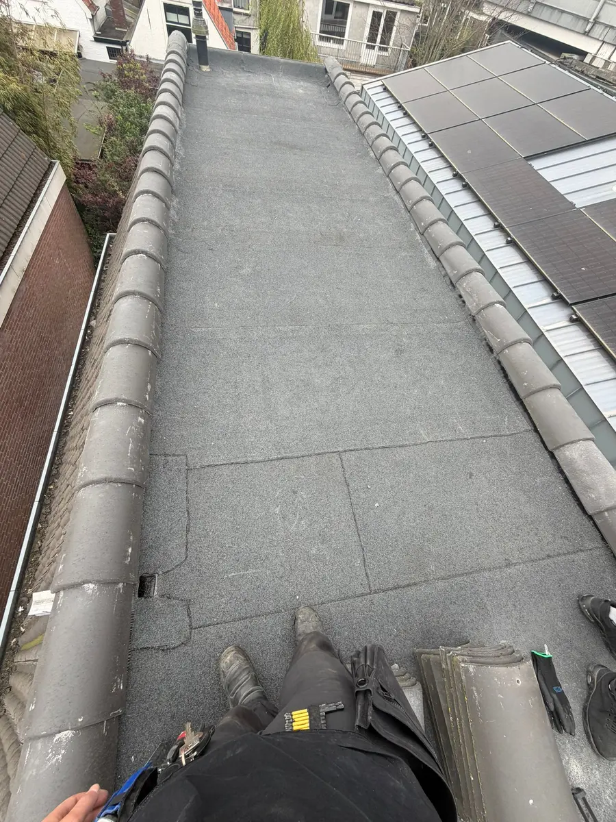 Pannendak vernieuwing